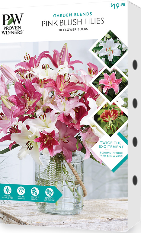 Pink Blush Lilies Package